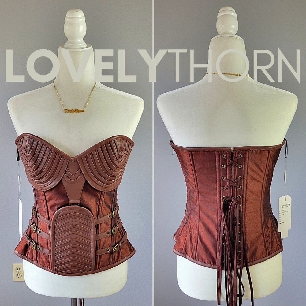 CHARMIAN // ltd ed steampunk gothic steel boned adjustable buckle zip co…